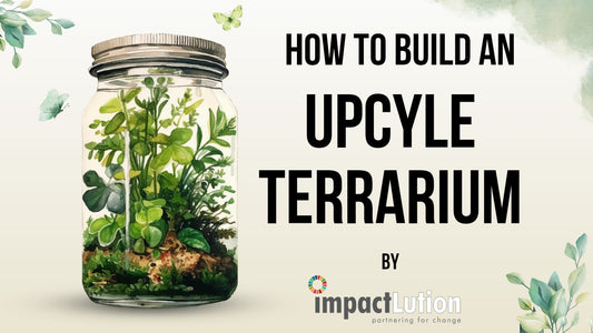 Crafting Green Futures: Impactlution’s Terrarium Workshop