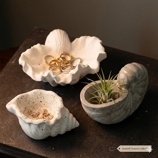 Sea Shell Collection