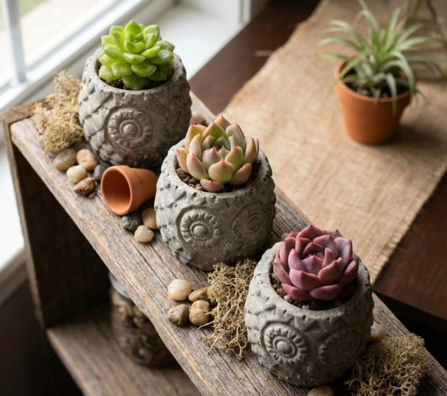 Owl Series Holder / Pot